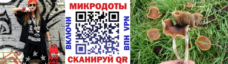 Галлюциногенные грибы MAGIC MUSHROOMS  МЕГА   Нефтегорск 