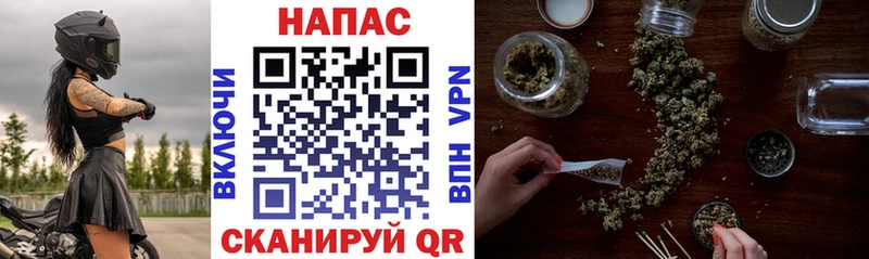Шишки марихуана сатива  купить   Нефтегорск 